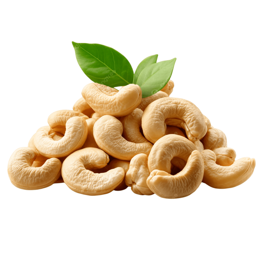 Cashew