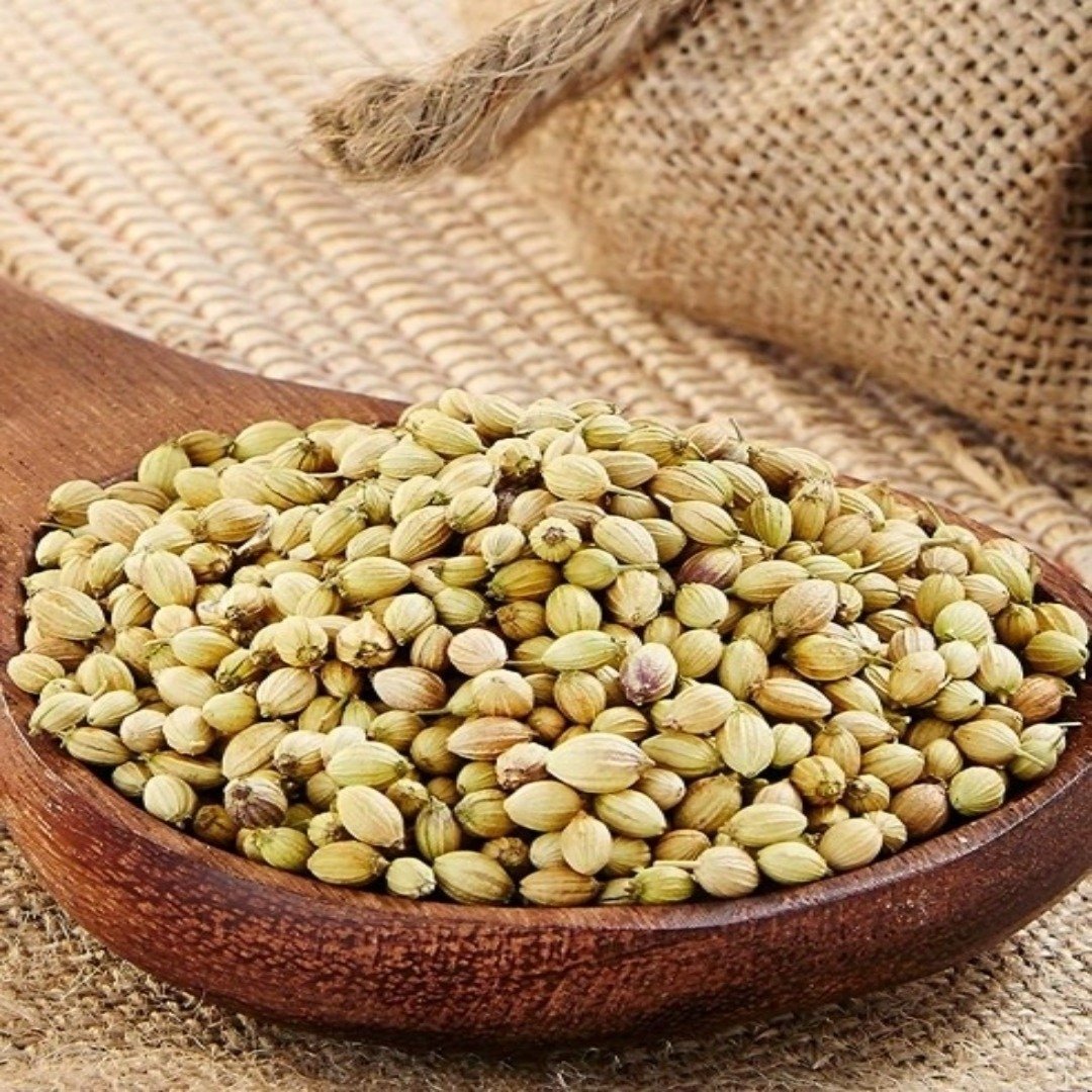 Coriander